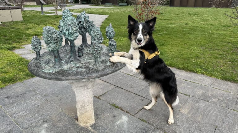 La levée de fonds WeMakeIt échoue, les alternatives sont prêtes !