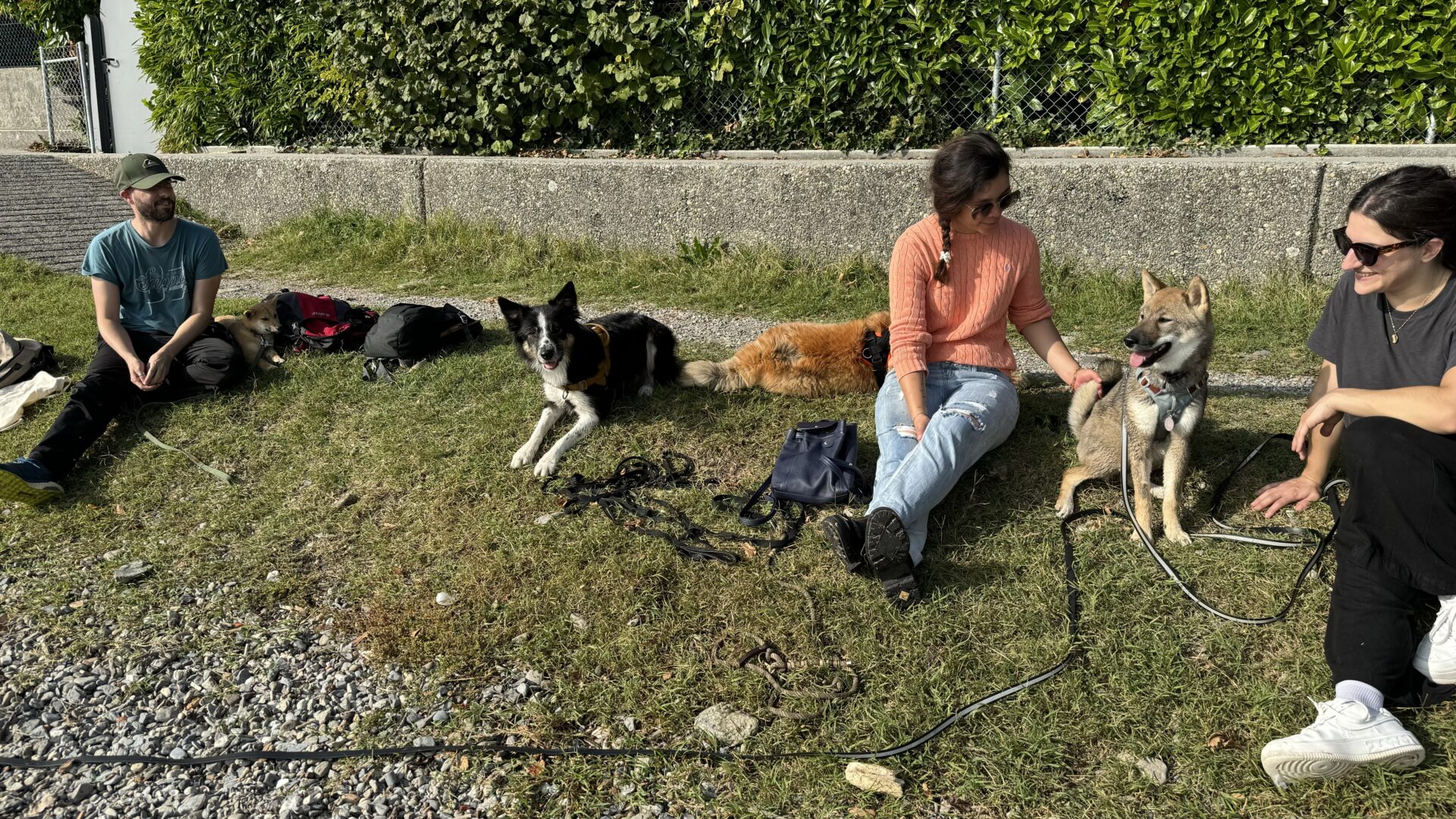 Groupe de chiens et d'Humains lors d'une sortie avec l'éducateur canin Alain Zuber et son école AmarokSpirit pour le groupe PlayDogs Lausanne