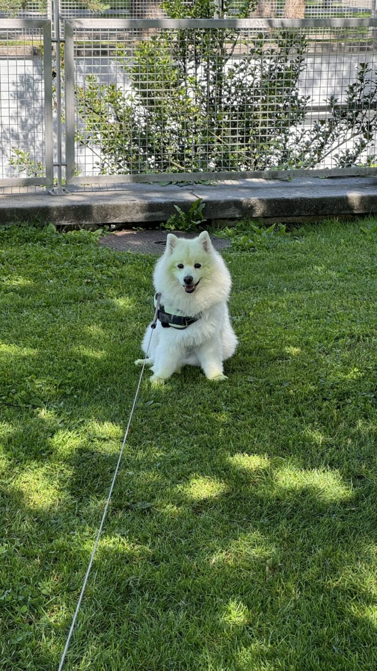 Formation :  Premiers pas dans la bonne direction  !