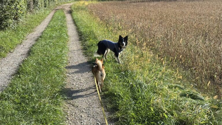 Une nouvelle année sous le signe de l&rsquo;éducation positive