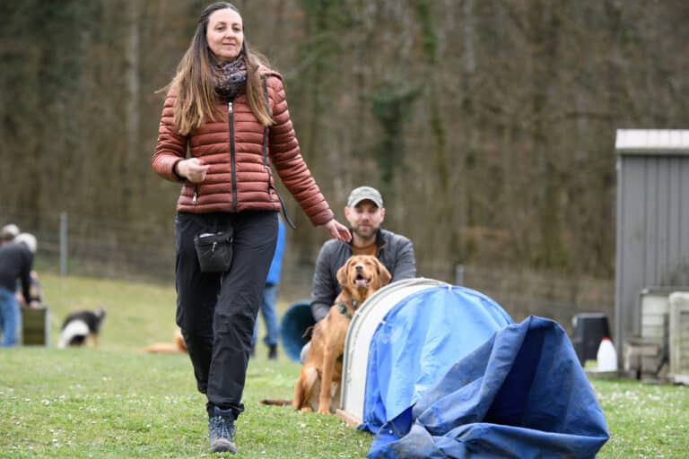 Quel club canin choisir ?