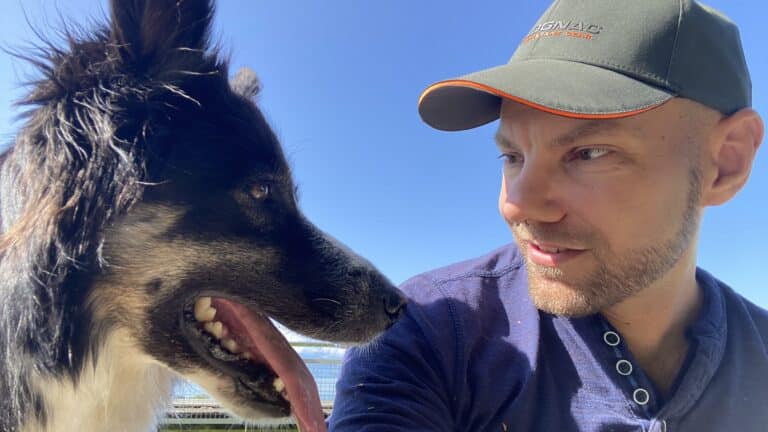 Éduquer son chien avec la langue des signes : avantages, méthodes et conseils pratiques