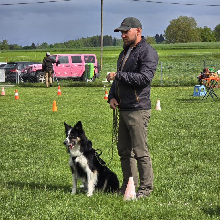 Préparation des examens