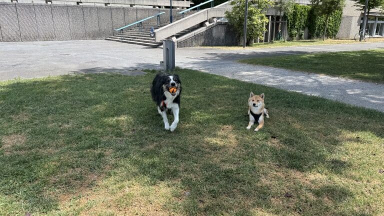 Mes projets, une fois le brevet en poche