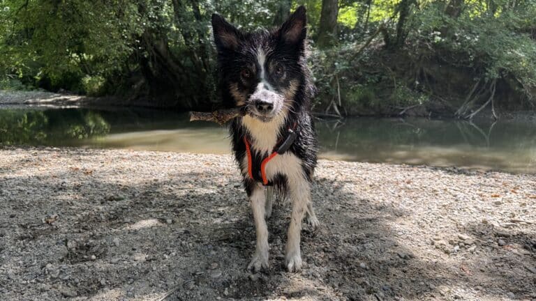En attendant la fin septembre