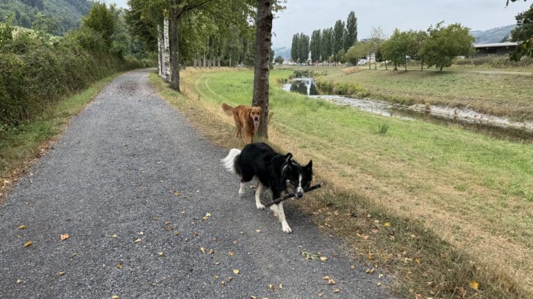 Mise à jour de l&rsquo;agenda de mes événements