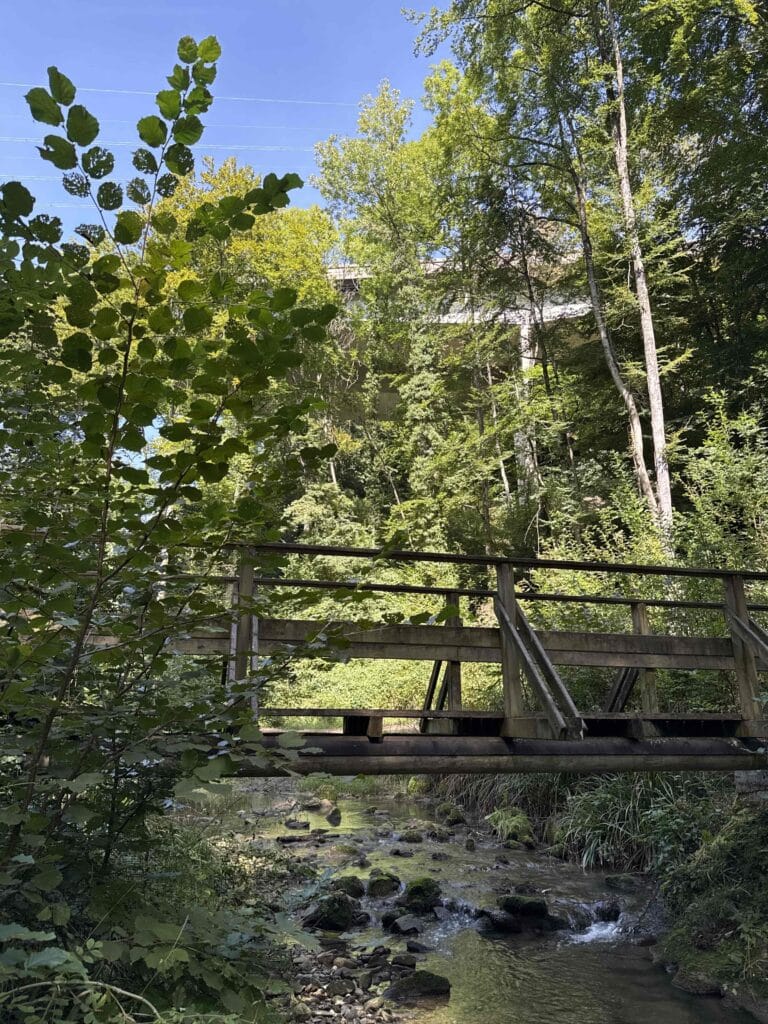 Pont en bois au-dessus d'une rivière forestière.