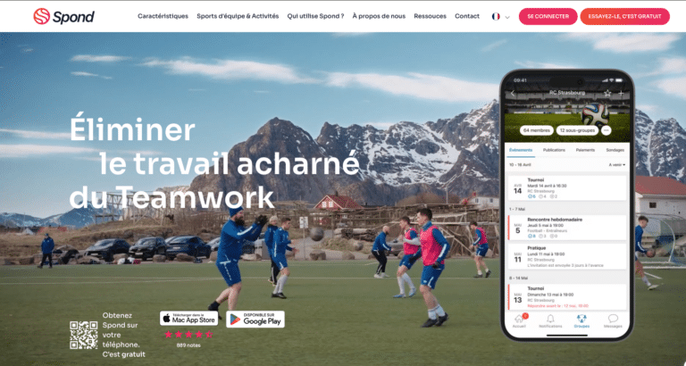 Organisation des cours canins en groupe