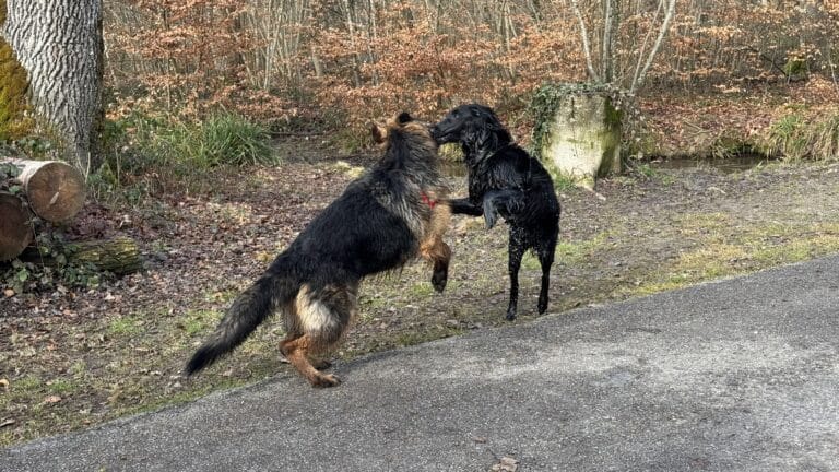 2026 s&rsquo;annonce comme une année chargée