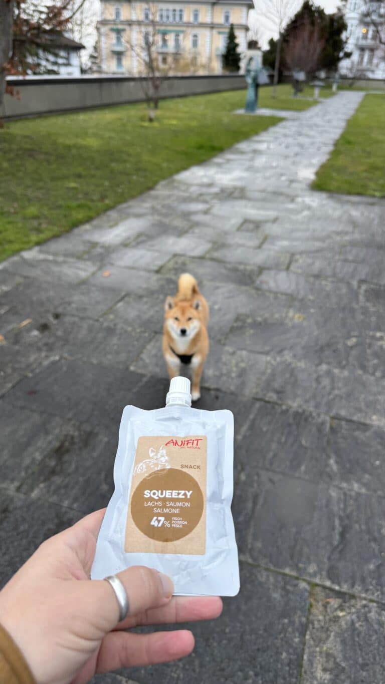 Sachet de friandise pour chien avec Shiba Inu